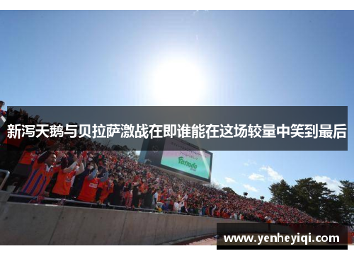 新泻天鹅与贝拉萨激战在即谁能在这场较量中笑到最后